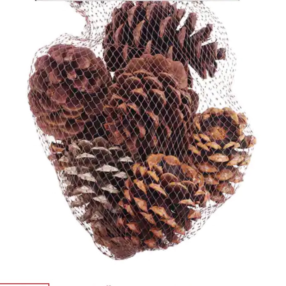 Cinnamon Scented Pinecones 3 dry quart/3.3 L